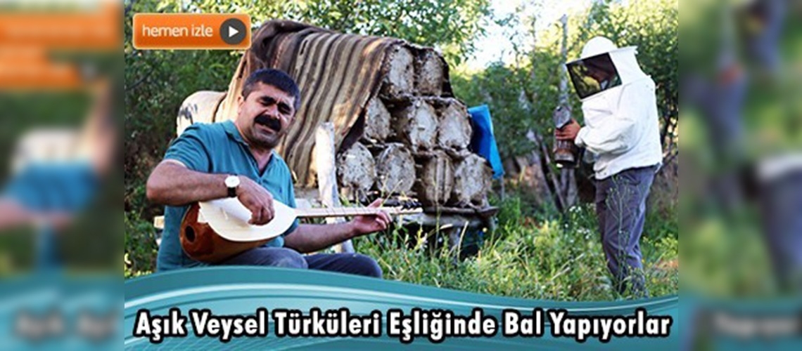 Arılara sazlı sözlü ''bal terapisi''