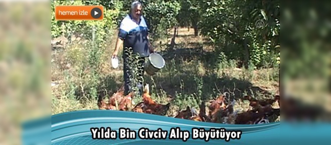 Torunları için tavuk yetiştiriyor 
