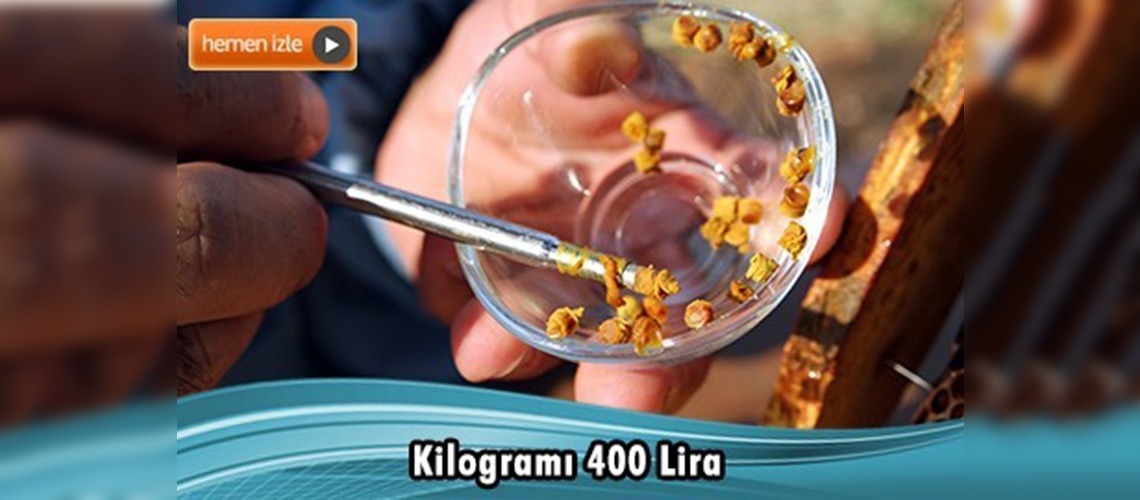 Keşfedilmemiş besin deposu ''arı ekmeği''