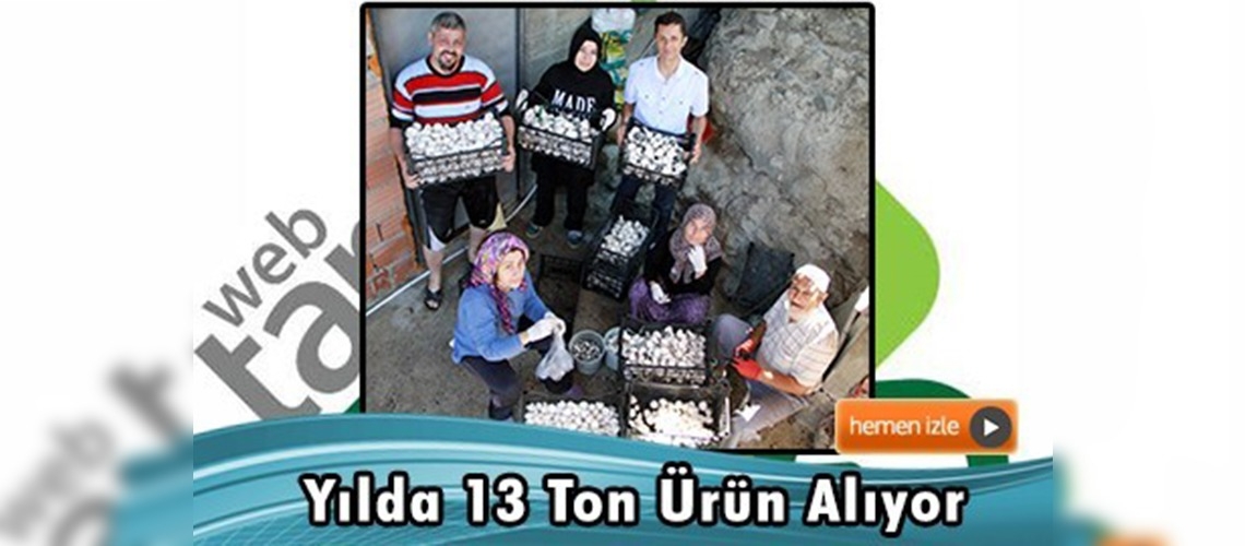 Bodrum katında kültür mantarı üretiyor