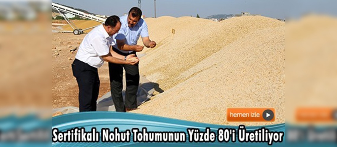 Avrupalı çiftçiye Türk tohumu ektiriyor 