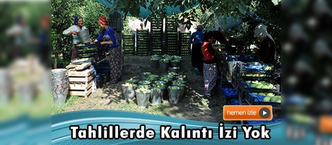 ''Armuttaki leke ilaç değil soğuk izi''