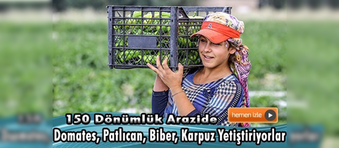 Doğudaki atıl arazilerde organik sebze yetiştiriliyor 