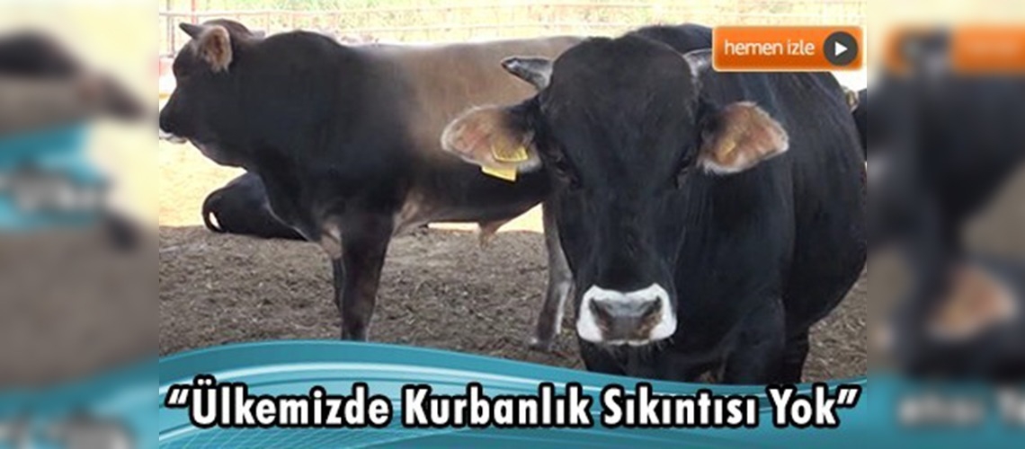 Kırmızı ette ithalat ile fiyatlar geriledi