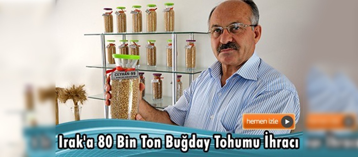 Irak'a yılda 80 bin ton buğday tohumu ihraç edilecek