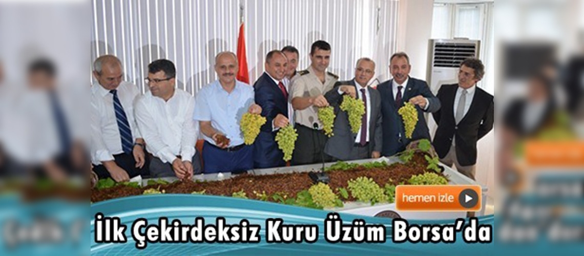 Salihli'de ilk çekirdeksiz kuru üzüm Borsa'ya geldi