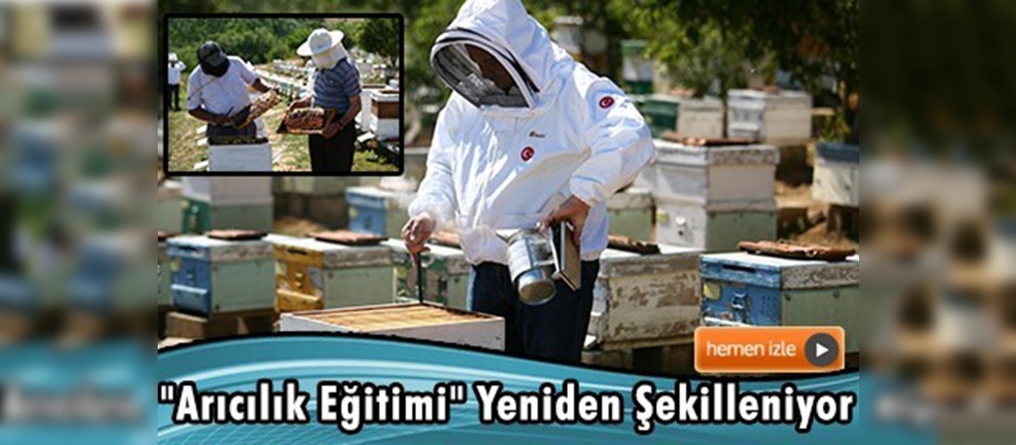 Arıcılık eğitiminin standardı oluşturuluyor