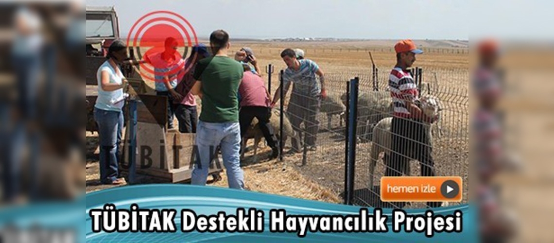 TÜBİTAK'tan hayvancılık projesine 380 bin TL