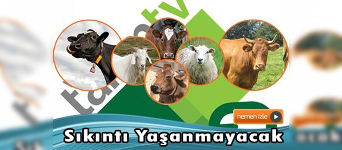 Kurbanlık hayvan sıkıntısı yaşanmayacak