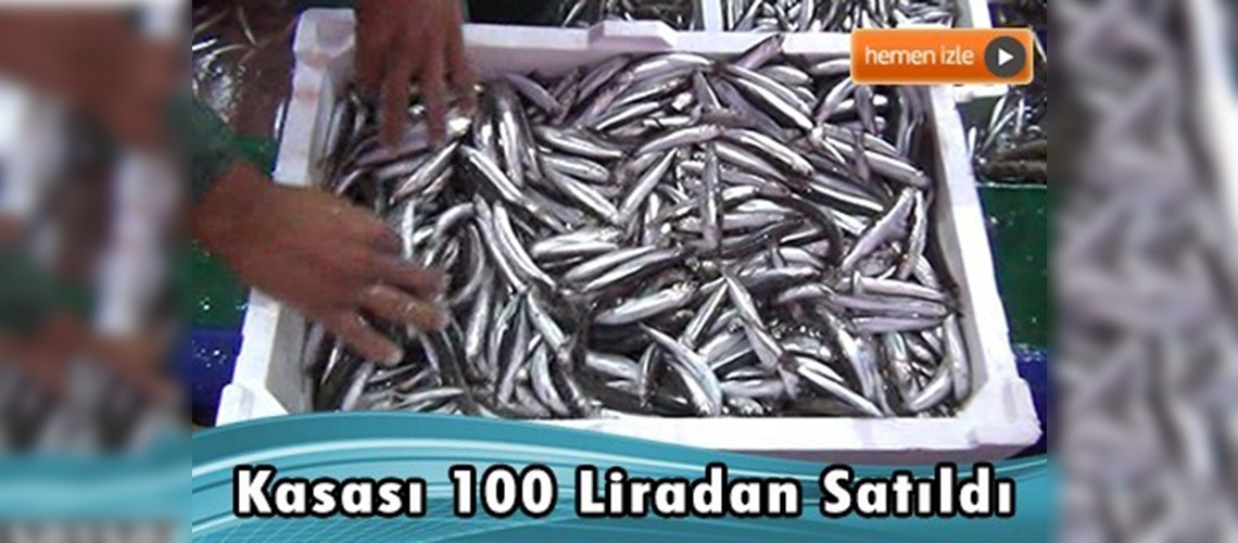 Bandırma'da hamsi bereketi