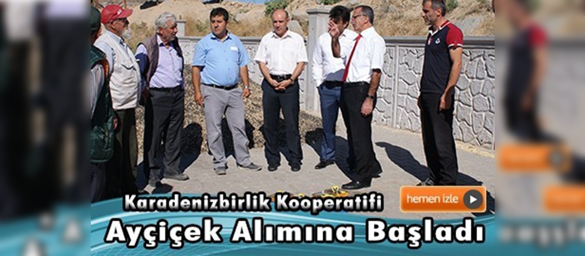 Yağlık Ayçiçek alım kampanyası