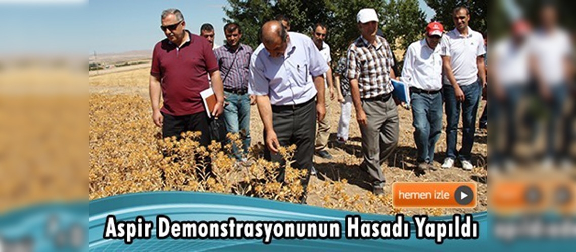 Aspir Demonstrasyonunun Hasadı Yapıldı