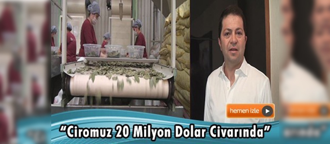 Denizli'den 50 ülkeye tıbbi ve aromatik bitki ihraç ediyor