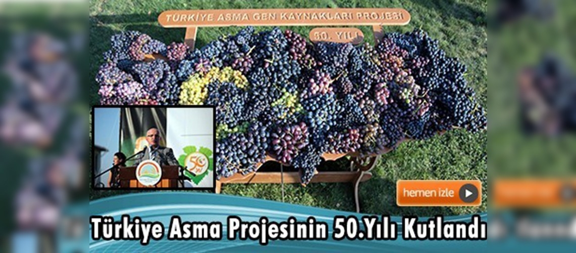 Trakya Bağ Bozumu ve Ekoloji Festivali