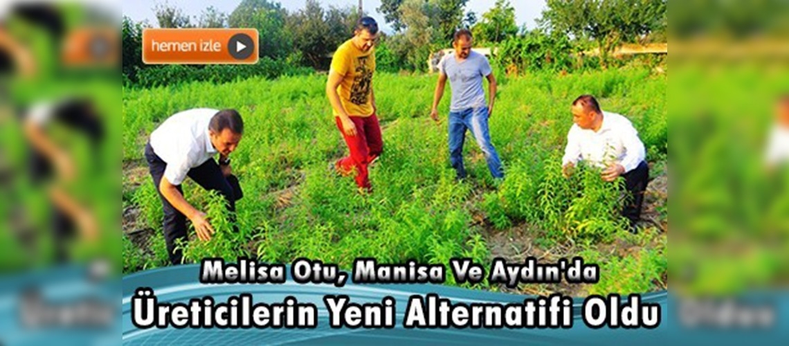 Melisa, Egeli çiftçinin alternatifi oldu