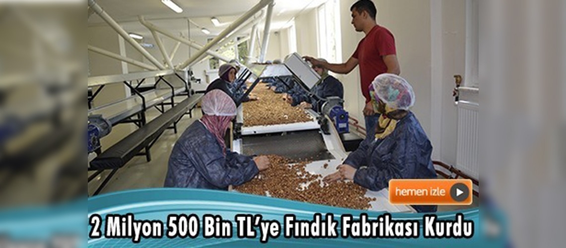 Ereğli'nin ilk fındık fabrikası hizmete açıldı