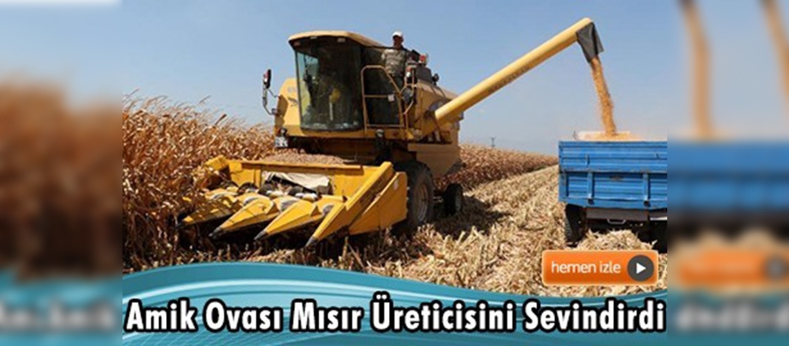 Hatay'da mısır veriminde yüzde 20 artış sağlandı