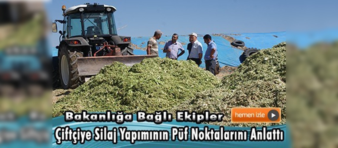 Keskin İlçesi Üçkuyu Köyünde Mısır Silajı Yapımına Başlandı 