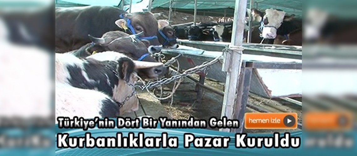 İzmir Kurban Bayramı'na hazır