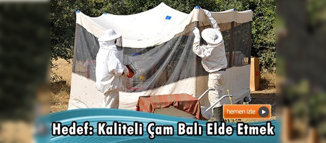 Gezginci arıcıların sonbahar göçü başlıyor 