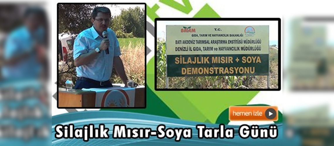 Denizli Acıpayam'da silajlık mısır-soya tarla günü yapıldı