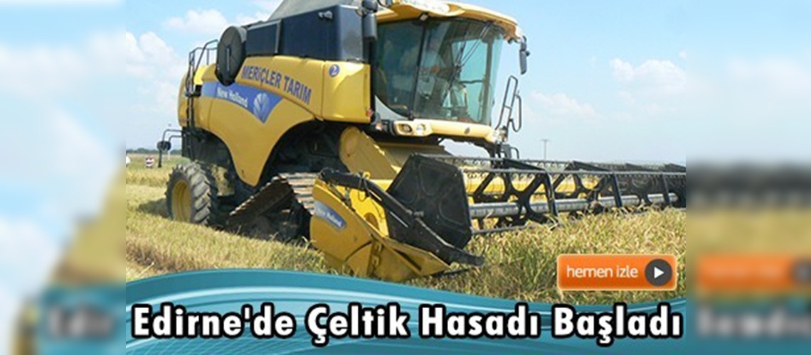 Bu yıl 40 bin dekar alana ekim yapılmıştı