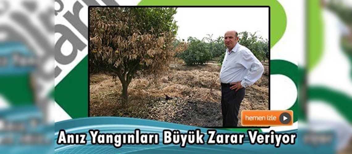 Çukurova'da meyve üretimine ''anız yangını'' tehdidi 