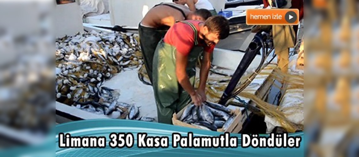 Karadeniz'de palamut bereketi 