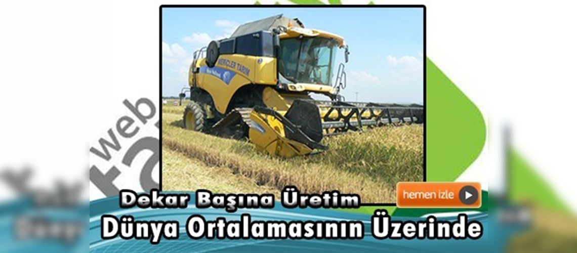 Çeltik üretimini Edirne sırtlıyor