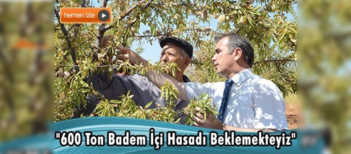 Diyarbakırlı çiftçinin yüzü ''badem''le güldü