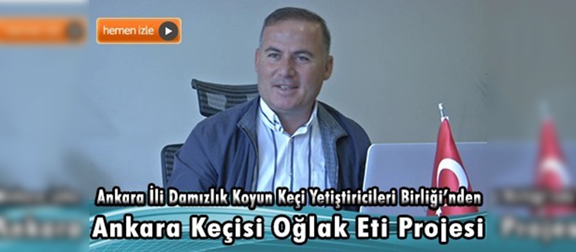 Ankara Keçisi Oğlak Eti Marketlerde Yerini Almaya Hazır