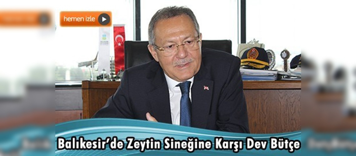 Zeytin sineğiyle mücadele için 3,5 milyon liralık bütçe