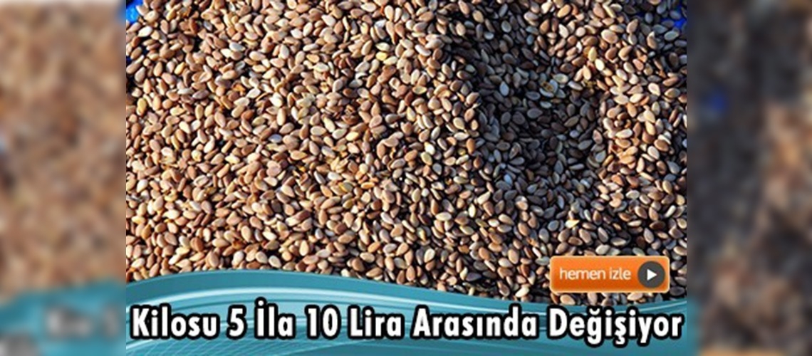 Kıraç topraklar ''susam'' ile değerlendiriliyor 