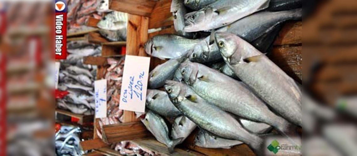 Yasa dışı avcılığa göz açtırılmıyor