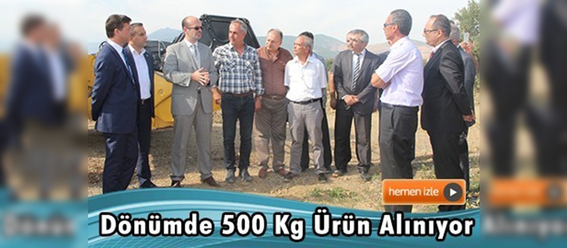 Kahramanmaraş'ta soya ekimi yaygınlaşıyor