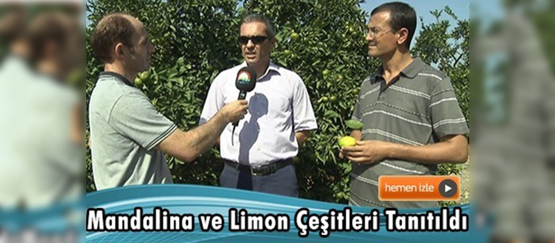 Alata Bahçe Kültürleri Araştırma Enstitüsü Müdürlüğü'nde tarla günü