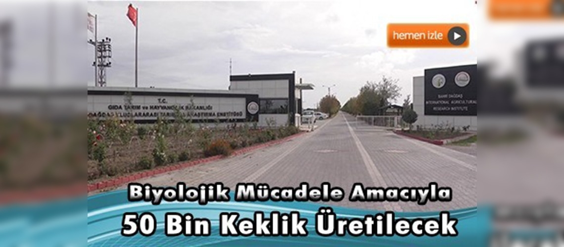 Kene ve süneyle ''kınalı keklik'' savaşacak 