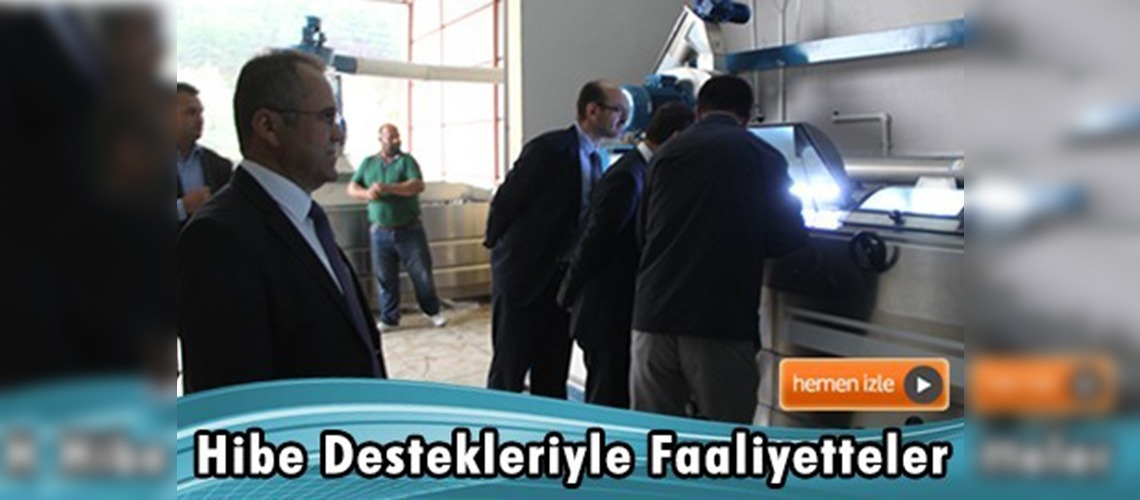 Kahramanmaraş'ta hibe desteği alan bir zeytinyağı fabrikası daha faaliyete başladı