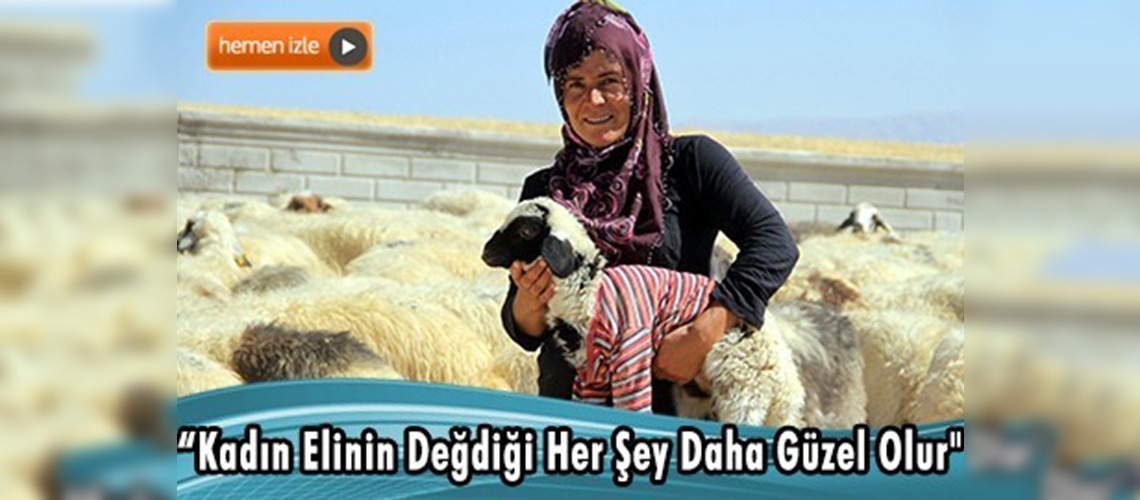 ''Erkek işi'' denilen besicilikte ''yüzü kara'' çıkmadı