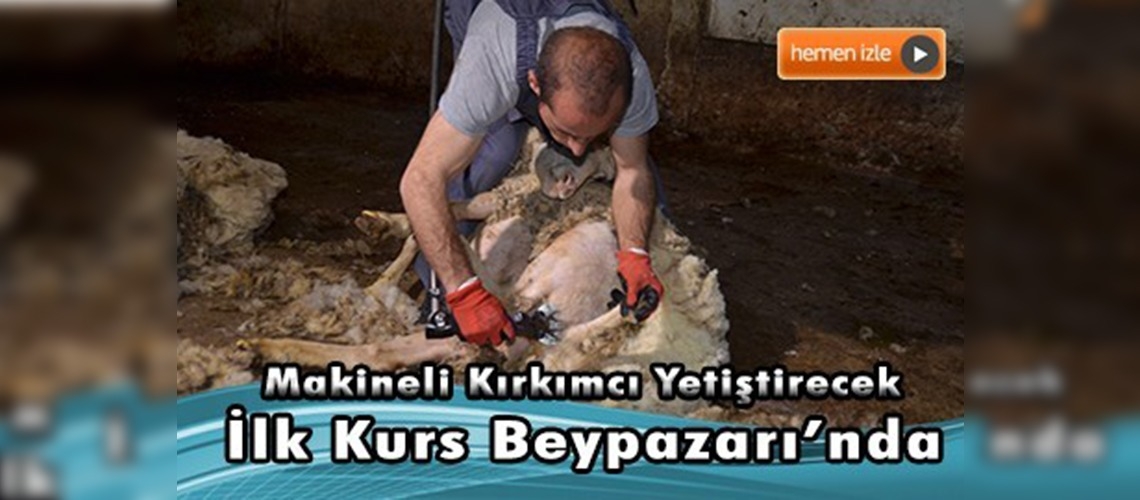 Ankara keçisi berberi geliyor