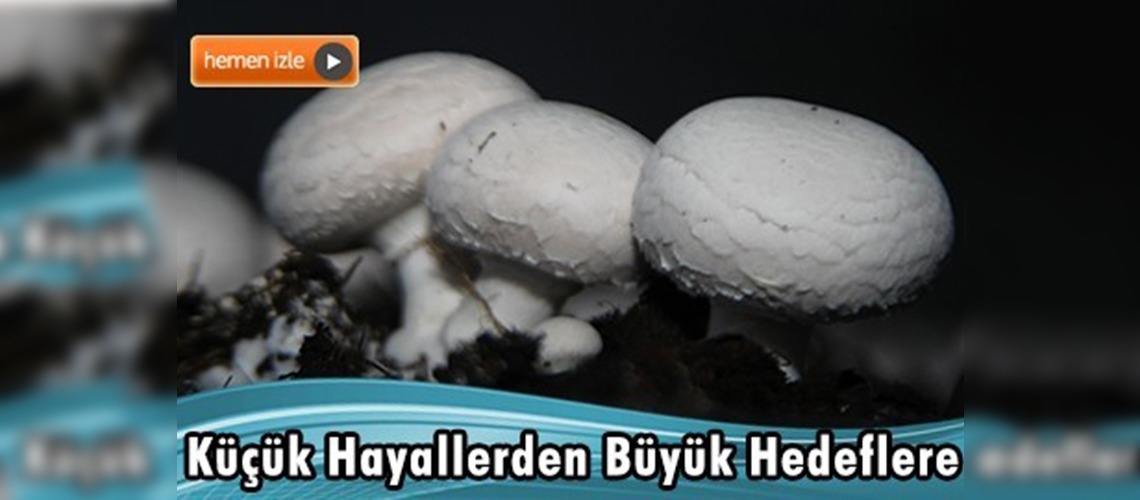 Onikişubat'ta kadın çiftçi ilçe müdürlüğünden aldığı destekle mantar üretim tesisi kurdu