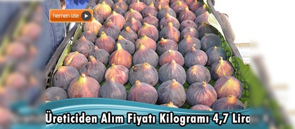 İncir pazarında ''Bursa siyahı'' önde 