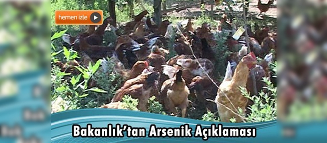 GTHB: ''Türkiye'de Roxarsone etken maddeli ürünlerin satışı yasak'' 