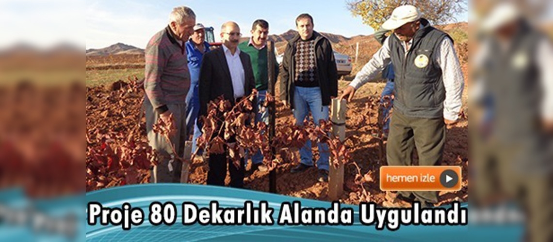 ''Organik Sofralık Üzüm Üretiminin Yaygınlaştırılması Projesi''