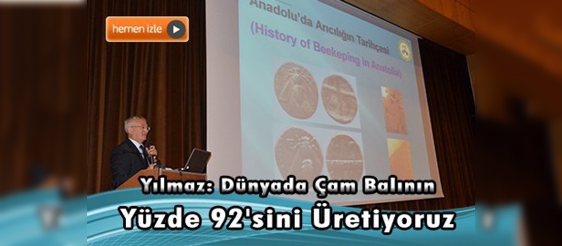 Dünyanın çam balını Türkiye üretiyor