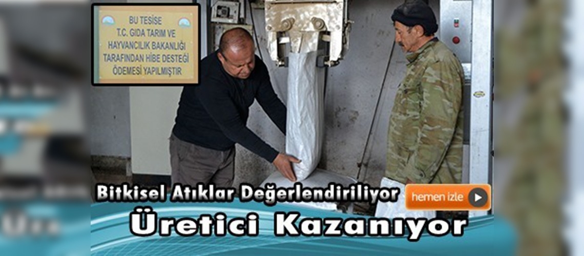 Üreticinin zeytinini ücretsiz sıkıp posasını ihraç ediyor