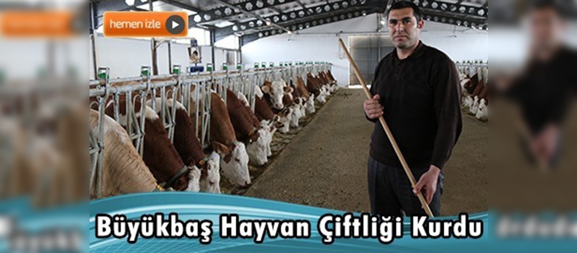 Çobanlıktan patronluğa uzanan başarı hikayesi