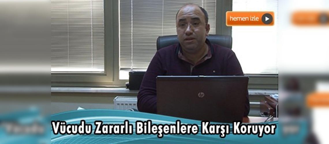 Vitamin ve mineral deposu ''Haşhaş''