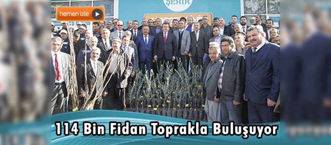 Çiftçilere ceviz ve zeytin fidanı dağıtıldı