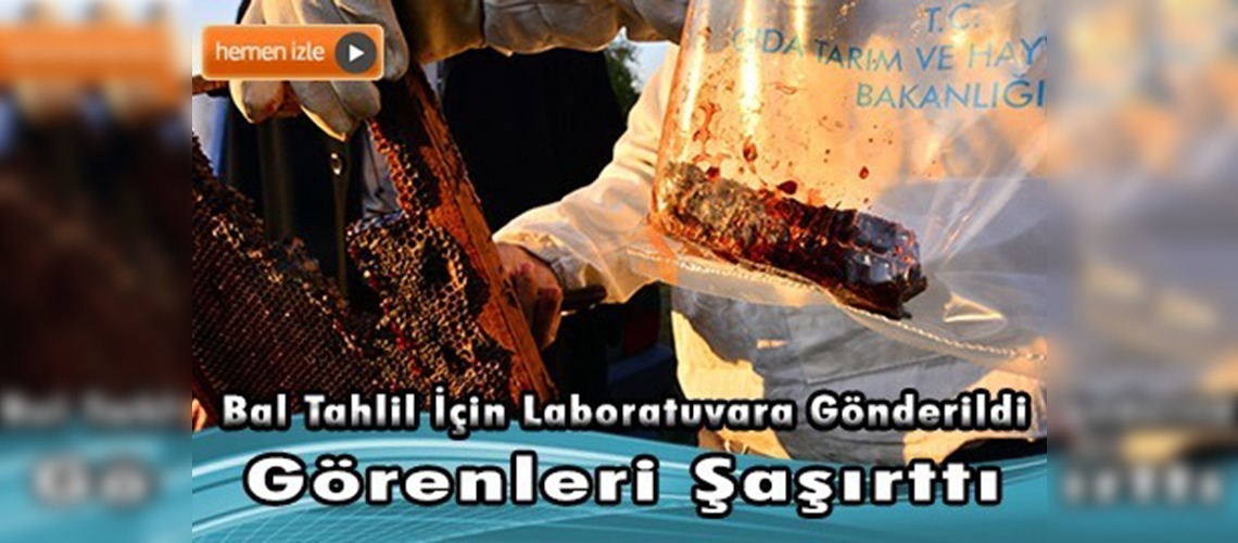 Kovandan ''kırmızı bal'' çıktı